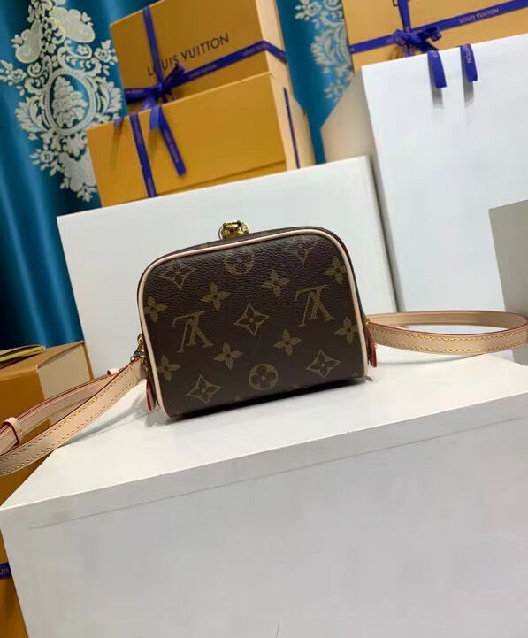 Louis Vuitton JUST IN CASE bag Brown